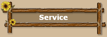 Service